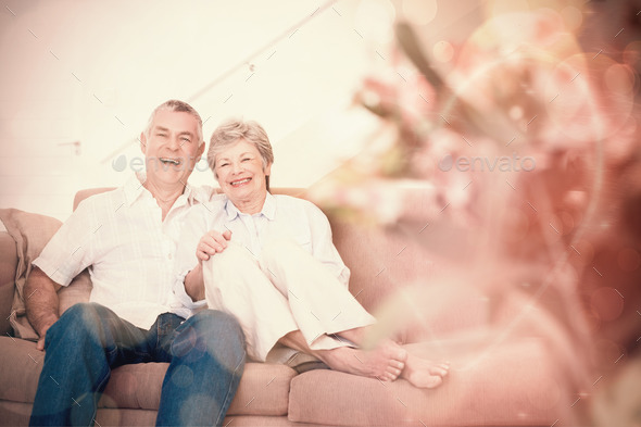 Portrait of happy senior couple relaxing on sofa at home (Misc) Photo Download