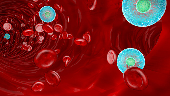Blood Cells Flowing Blood Cells Flowing
