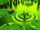 My Second Image