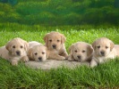 My Third Image
