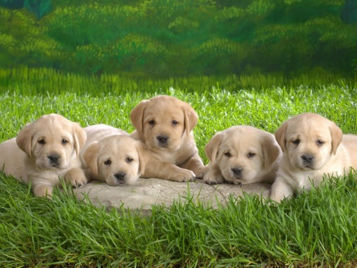 My First Image
