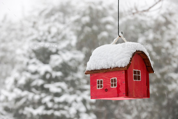 Bird house with snow in winter