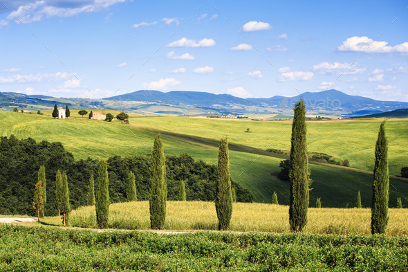 Tuscany landscape, cypress trees and Vitaleta chapel on back, va (Misc) Photo Download