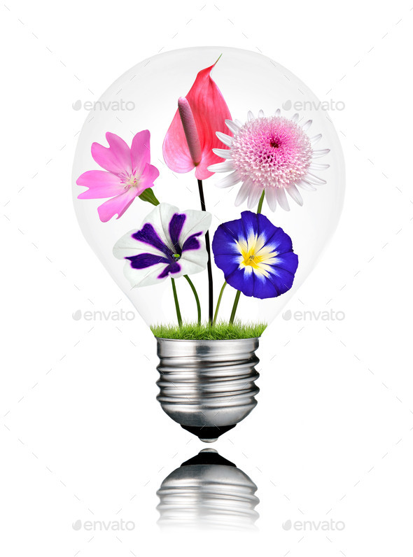 Various Colorful Flowers Growing Inside Light Bulb Isolated (Misc) Photo Download