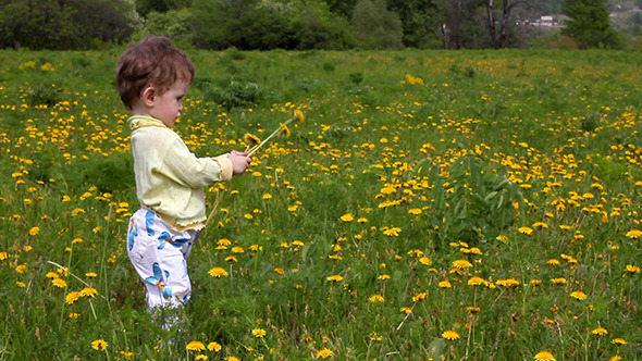 Baby With Dandelions On Green Spring Lawn Baby With Dandelions On Green Spring Lawn