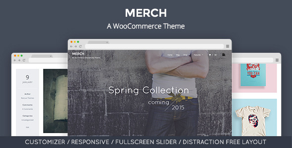 Merch: A WooCommerce WordPress Theme