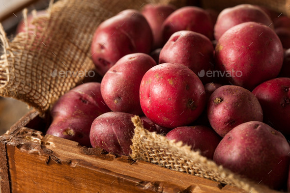 Organic Raw Red Potatoes (Misc) Photo Download