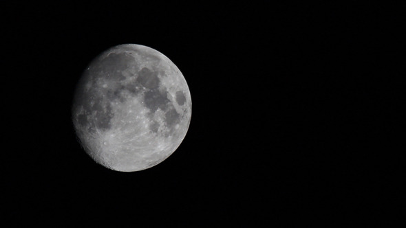 Moon Moon