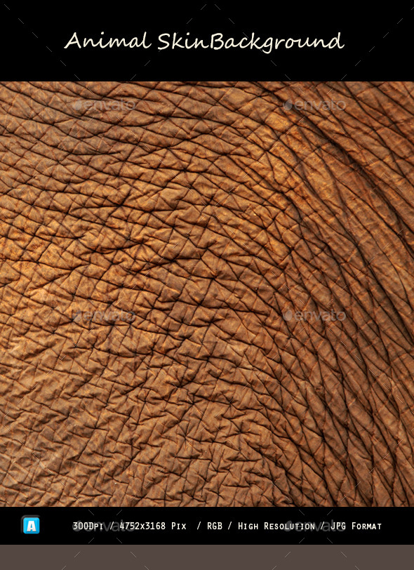 GraphicRiver Animal Skin Texture 0101 10291402 GraphicRiver Animal Skin Texture 0101 10291402