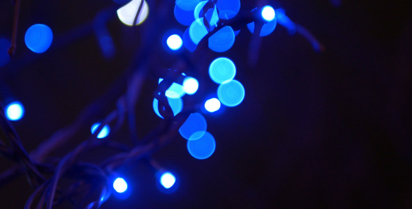 Tree and Blue Lights 1 Tree and Blue Lights 1
