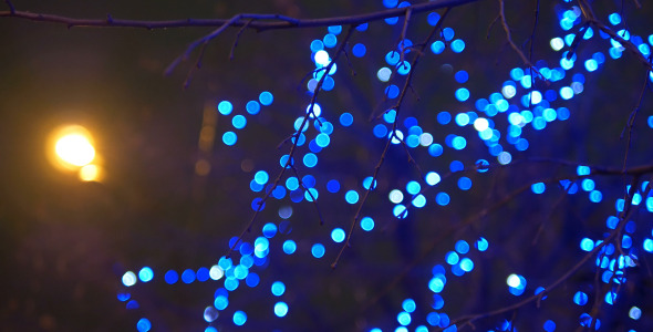 Tree and Blue Lights 3 Tree and Blue Lights 3