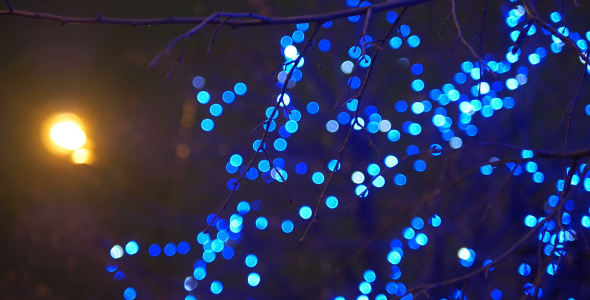 Tree and Blue Lights 3 Tree and Blue Lights 3