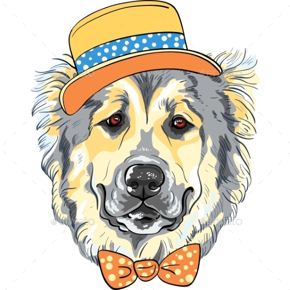 GraphicRiver Caucasian Shepherd Dog Breed in Hat 10298793 GraphicRiver Caucasian Shepherd Dog Breed in Hat 10298793
