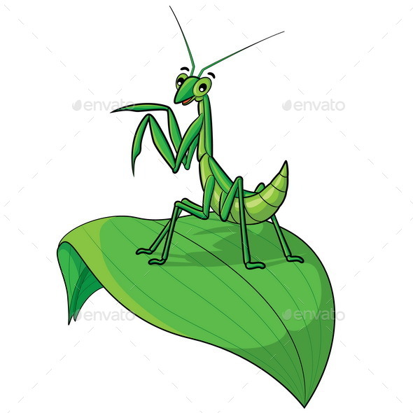 Praying Mantis Cartoon Praying Mantis Cartoon