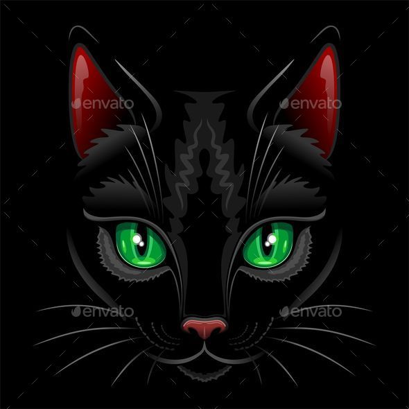 Black Cat Portrait (Animals)