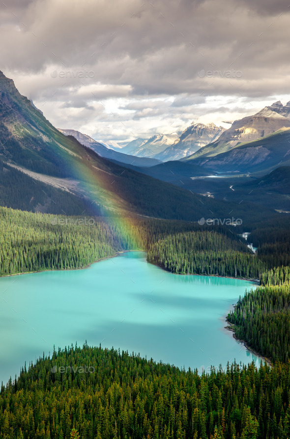 Scenic mountain view of Peyto lake, Canadian Rockies (Misc) Photo Download