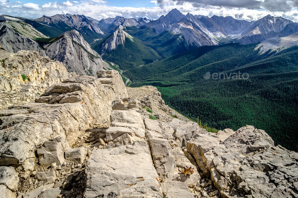 Mountains range view in Jasper NP with chipmunk in foreground (Misc) Photo Download