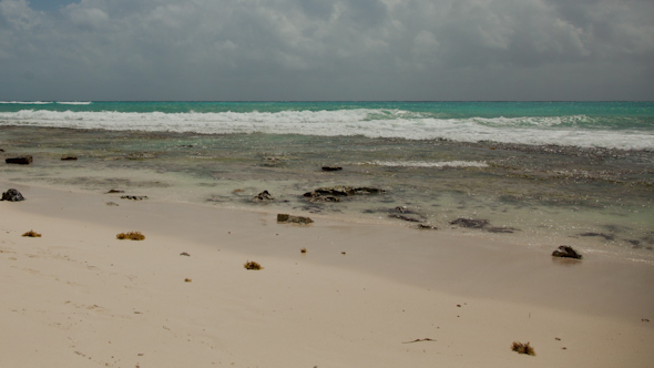 Paradise Beach Playa Del Carmen Caribbean Mexico Paradise Beach Playa Del Carmen Caribbean Mexico