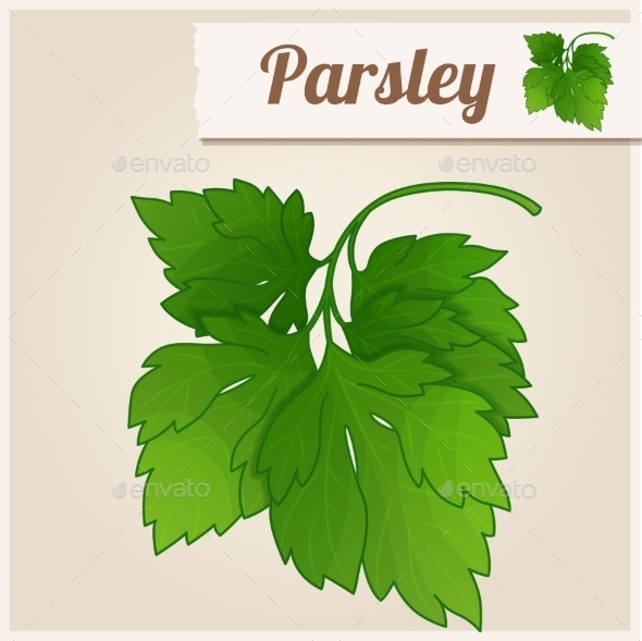 GraphicRiver Detailed Icon Parsley 10311265 GraphicRiver Detailed Icon Parsley 10311265