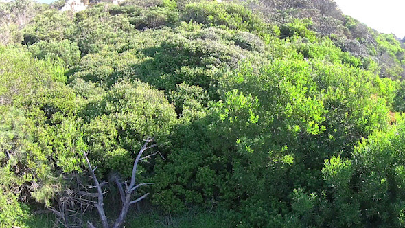 Aerial View Flying up a Sandstone Hill Aerial View Flying up a Sandstone Hill