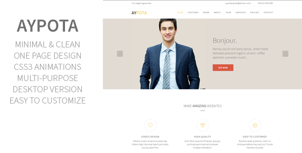 Aypota - One Page Corporate Muse Template