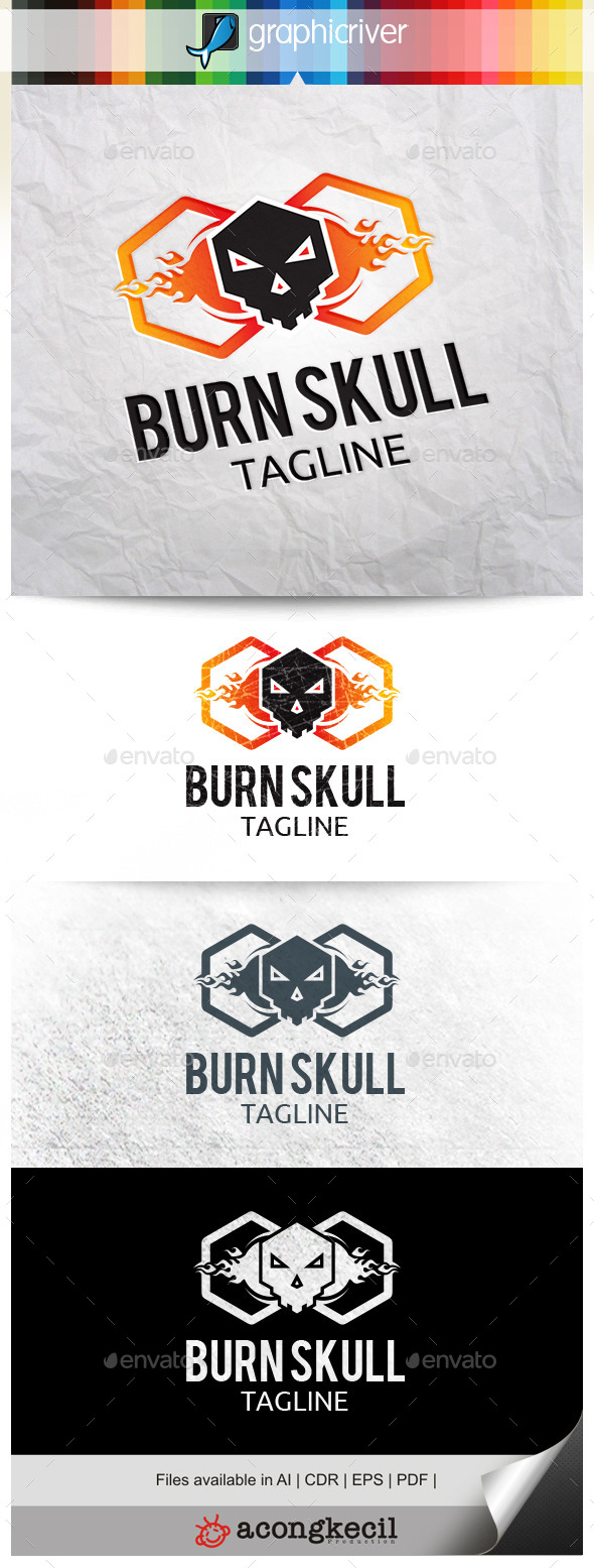GraphicRiver Burn Skull V.2 10322427 GraphicRiver Burn Skull V.2 10322427