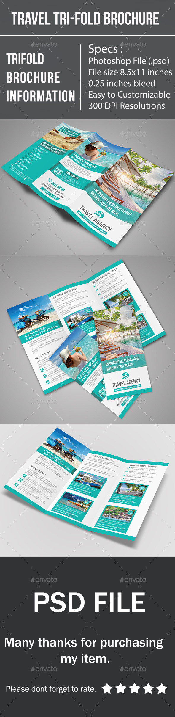 Travel Tri-Fold Brochure (Corporate)