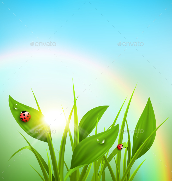 GraphicRiver Green Grass and Ladybugs with Sunrise 10335980 GraphicRiver Green Grass and Ladybugs with Sunrise 10335980