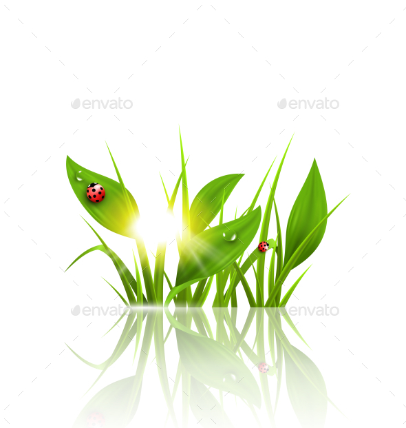 GraphicRiver Green Grass and Ladybugs with Sunrise 10335995 GraphicRiver Green Grass and Ladybugs with Sunrise 10335995
