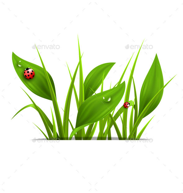 GraphicRiver Green Grass and Ladybugs 10336054 GraphicRiver Green Grass and Ladybugs 10336054