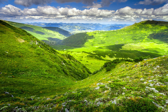 Carpatian summer landscape. (Misc) Photo Download