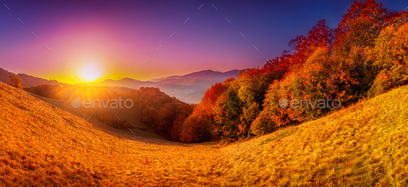 Colorful autumn landscape (Misc) Photo Download