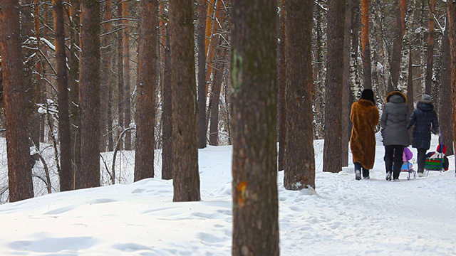 Winter walking Winter walking
