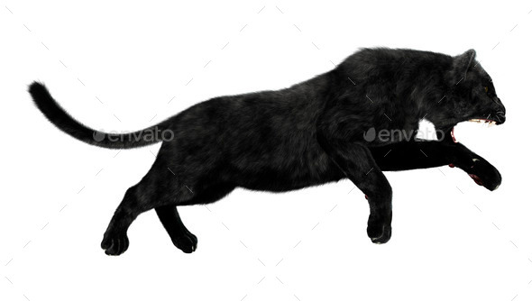 Black Panther (Misc) Photo Download