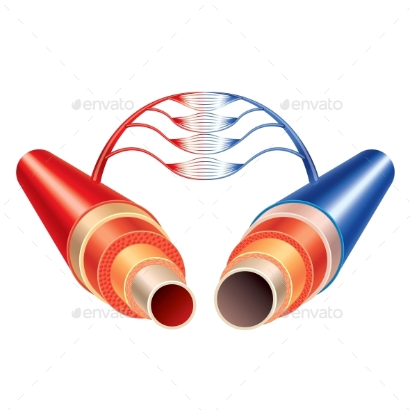 GraphicRiver Artery and Vein Vessels Circulatory System 10354163 GraphicRiver Artery and Vein Vessels Circulatory System 10354163