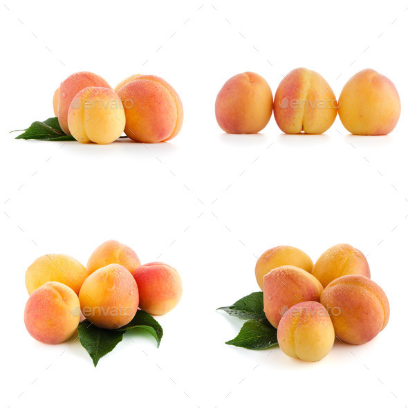 Set of sweet peaches (Misc) Photo Download