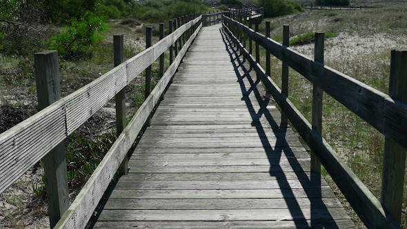 Walking on Wooden Walkway in the Sand Dunes Walking on Wooden Walkway in the Sand Dunes