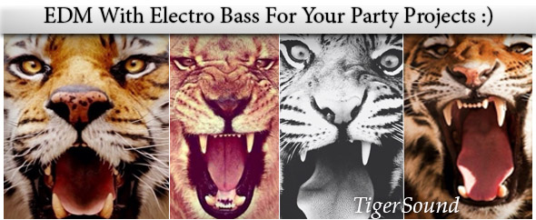 TigerSound
