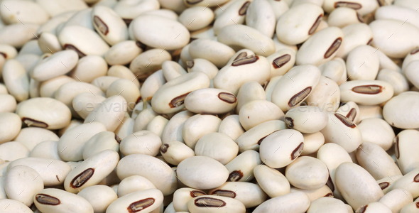 clsoe up white bean background