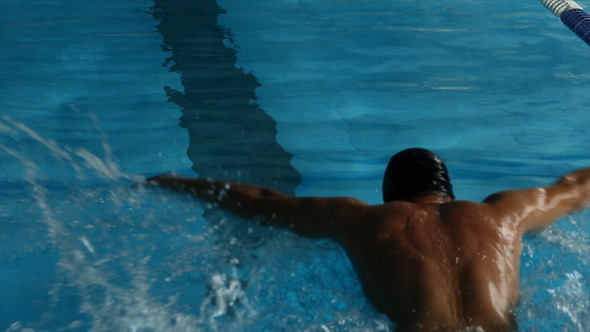 Swimmer in a Pool Swimmer in a Pool