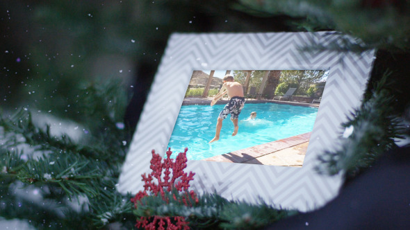 Winter Holidays Photo Gallery on Snowy Trees Winter Holidays Photo Gallery on Snowy Trees