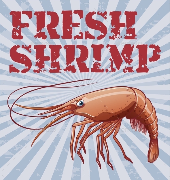 GraphicRiver Shrimp 10390979 GraphicRiver Shrimp 10390979