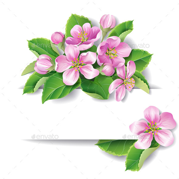 Apple Tree Blossom (Flowers & Plants)