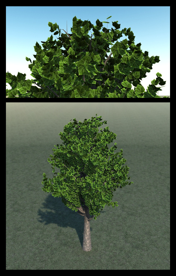 Green Tree Green Tree