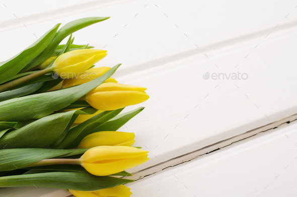 Yellow tulips on white boards (Misc) Photo Download