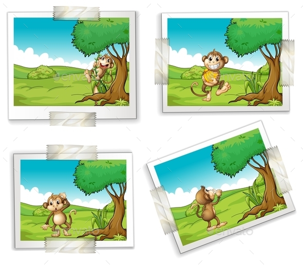 GraphicRiver Photographs and Monkeys 10402616 GraphicRiver Photographs and Monkeys 10402616