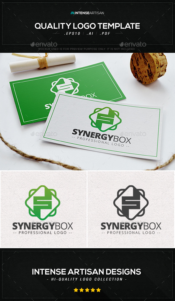 GraphicRiver Synergy Box Logo Template 10406891 GraphicRiver Synergy Box Logo Template 10406891