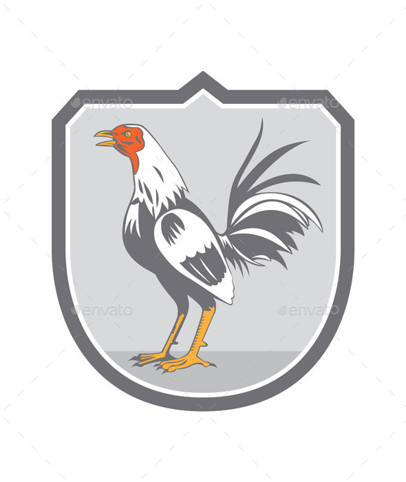 GraphicRiver Cockerel Rooster Standing Retro Shield 10412377 GraphicRiver Cockerel Rooster Standing Retro Shield 10412377