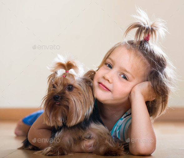 Cute little girl with yorkshire terrier indoor
