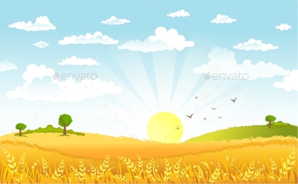 Countryside Panorama in the Morning (Landscapes)